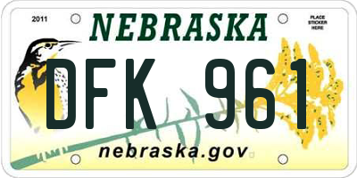 NE license plate DFK961