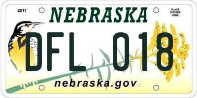 NE license plate DFL018