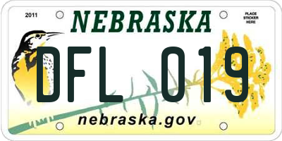 NE license plate DFL019
