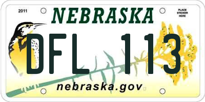 NE license plate DFL113