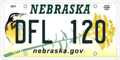NE license plate DFL120
