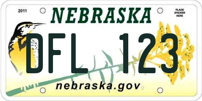 NE license plate DFL123