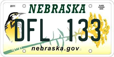 NE license plate DFL133