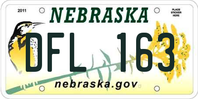 NE license plate DFL163