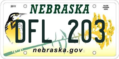 NE license plate DFL203