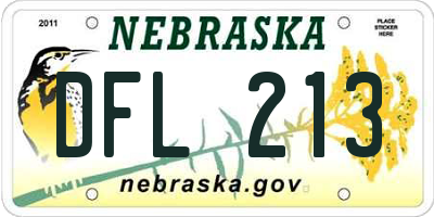 NE license plate DFL213