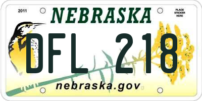 NE license plate DFL218