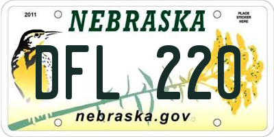 NE license plate DFL220
