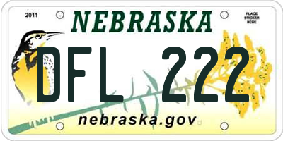NE license plate DFL222