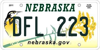 NE license plate DFL223