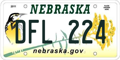 NE license plate DFL224