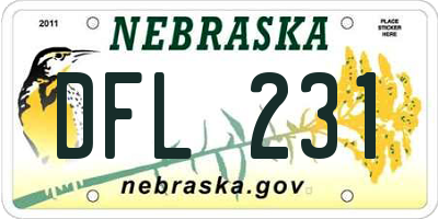 NE license plate DFL231