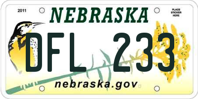 NE license plate DFL233