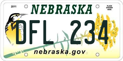NE license plate DFL234