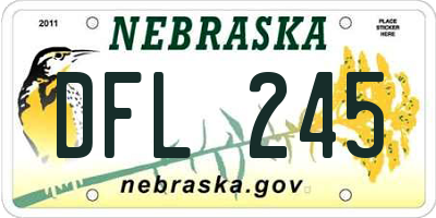 NE license plate DFL245