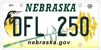 NE license plate DFL250