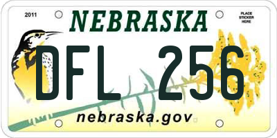 NE license plate DFL256