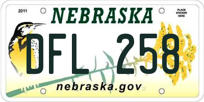 NE license plate DFL258