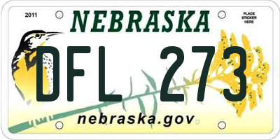 NE license plate DFL273