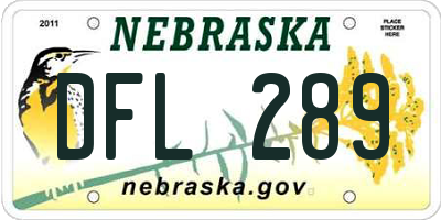 NE license plate DFL289