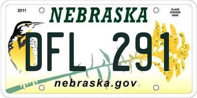 NE license plate DFL291