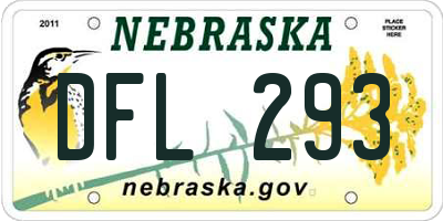 NE license plate DFL293