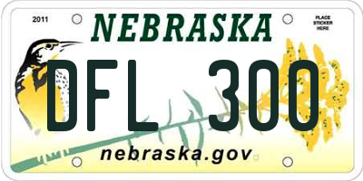 NE license plate DFL300