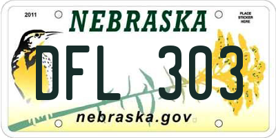 NE license plate DFL303