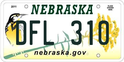 NE license plate DFL310