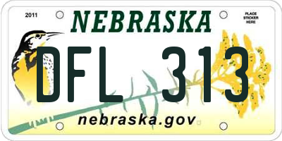 NE license plate DFL313