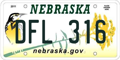 NE license plate DFL316