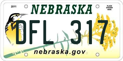 NE license plate DFL317