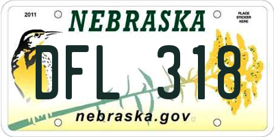 NE license plate DFL318