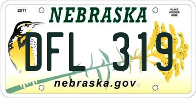 NE license plate DFL319