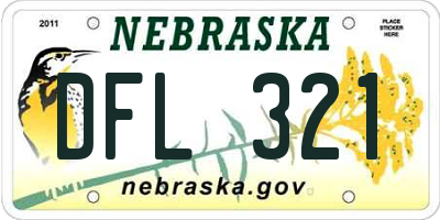 NE license plate DFL321