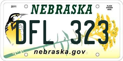 NE license plate DFL323