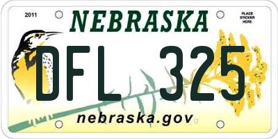 NE license plate DFL325