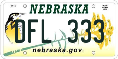 NE license plate DFL333