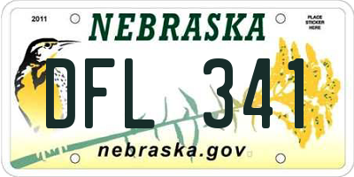 NE license plate DFL341