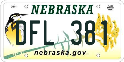 NE license plate DFL381