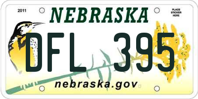 NE license plate DFL395