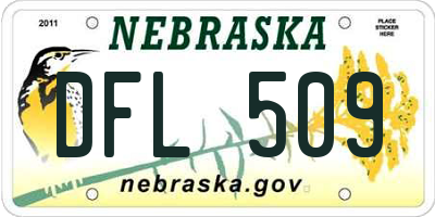 NE license plate DFL509