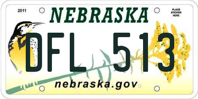 NE license plate DFL513