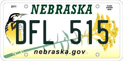 NE license plate DFL515