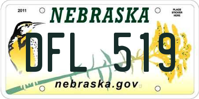 NE license plate DFL519