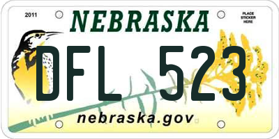 NE license plate DFL523