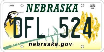 NE license plate DFL524