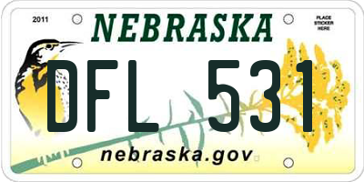 NE license plate DFL531