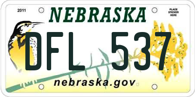 NE license plate DFL537