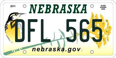 NE license plate DFL565